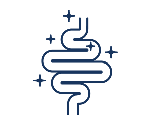 Digestion
