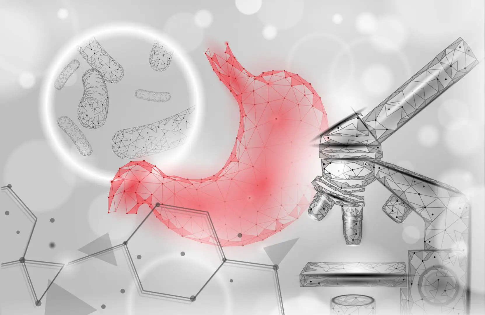 bigstock-Human-Stomach-Microscope-d-Lo-346116910 bigstock-Human-Stomach-Microscope-d-Lo-346116910