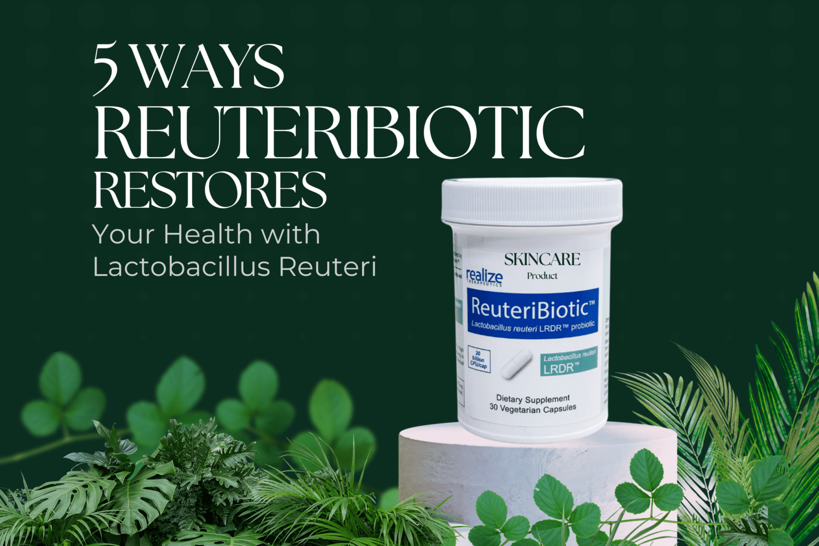 PPV Blog - Reuteribiotic A forest floor with a stone podium holding ReuteriBiotic