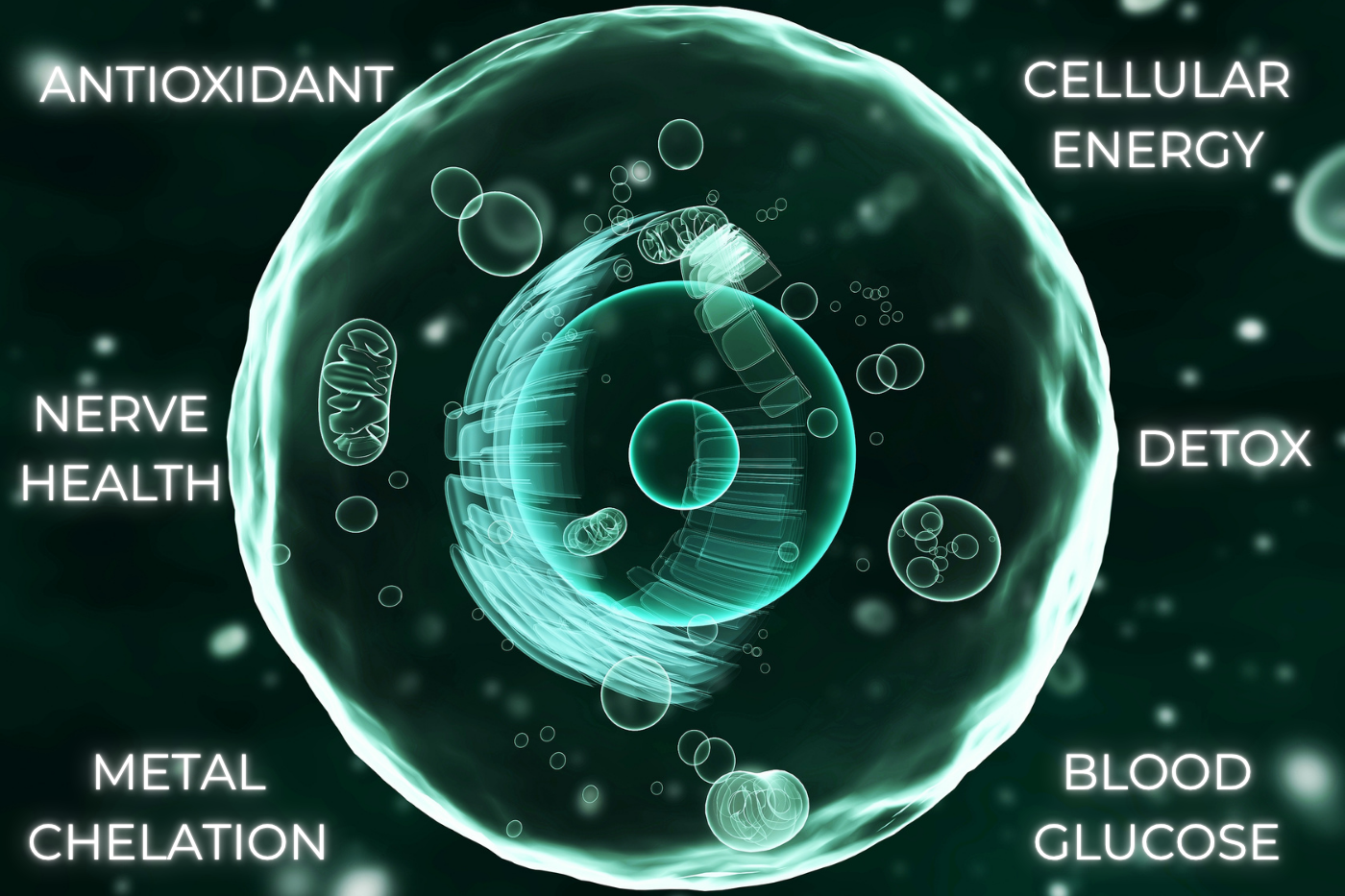 Human cell with ALA benefits