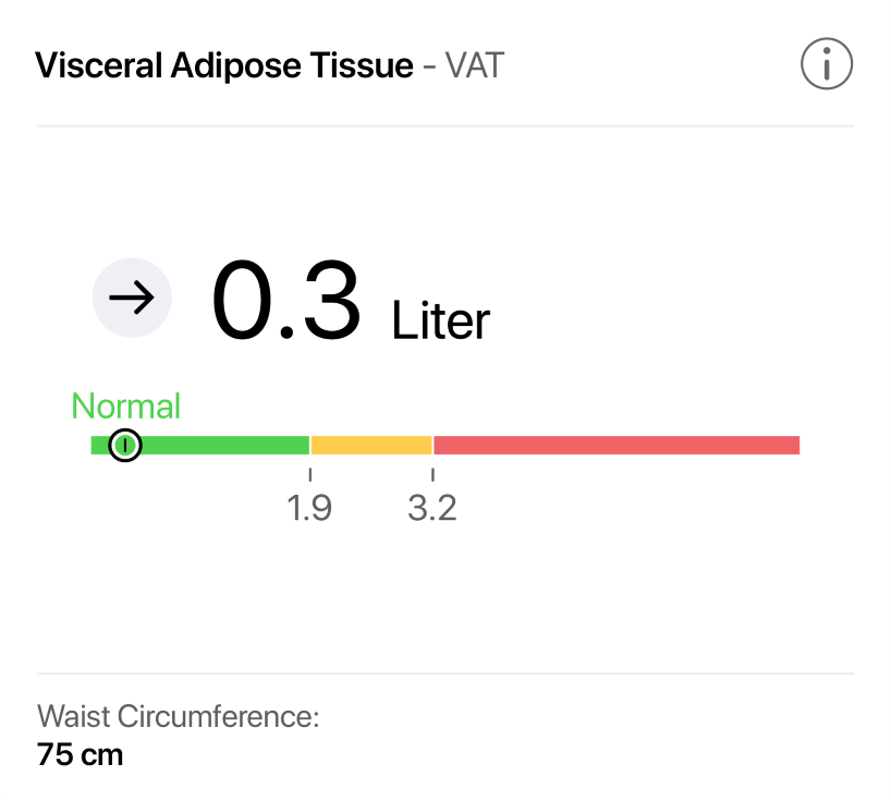 Visceral Fat Measurement Graphic