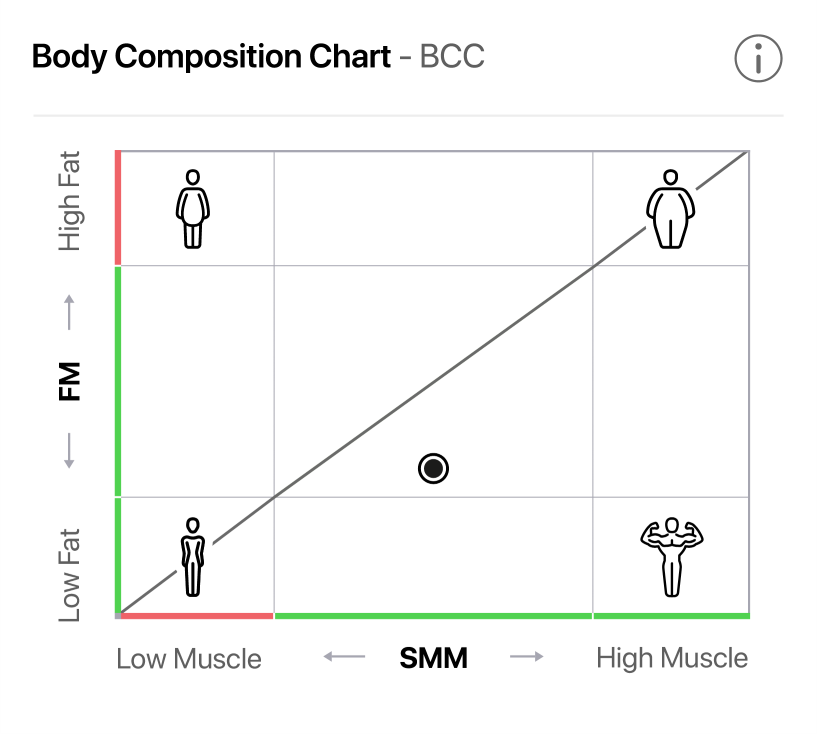 SECA Body Composition Chart
