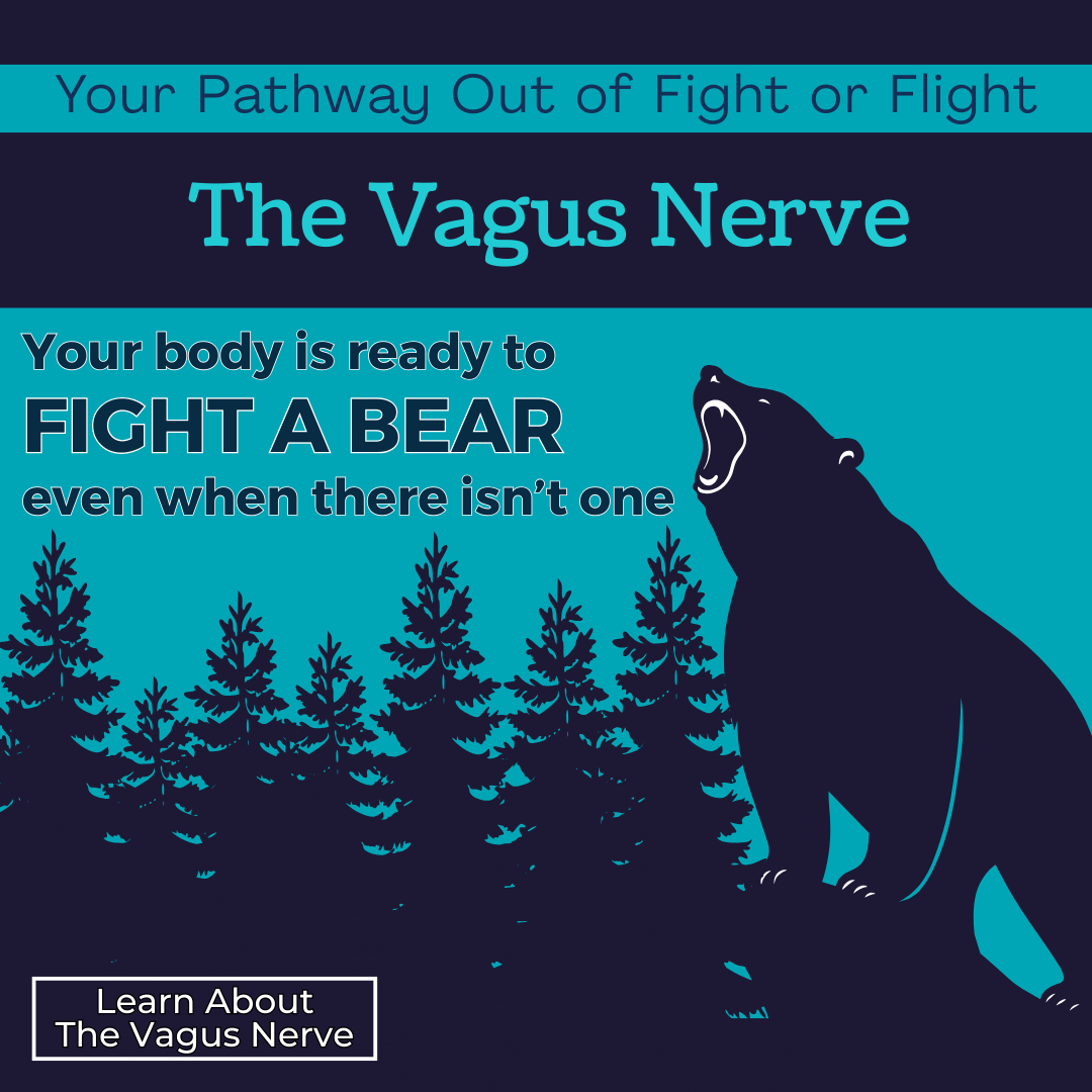 A bear in the forest with the words "Your pathway out of fight or flight" The Vagus Nerve