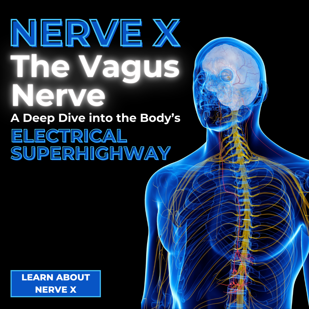 A see-through body showing the vagus nerve with the words, "Nerve X - The Vagus Nerve"