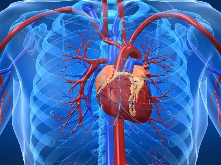Protect Your Heart and Arteries with Arterosil