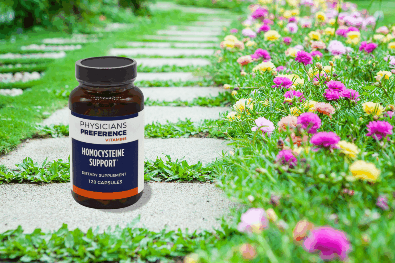 Homocysteine Support on a beautiful garden pathway.