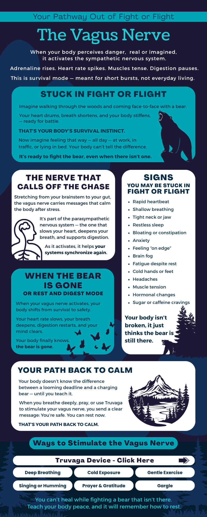 vagus nerve infographic stuck in fight or flight bear