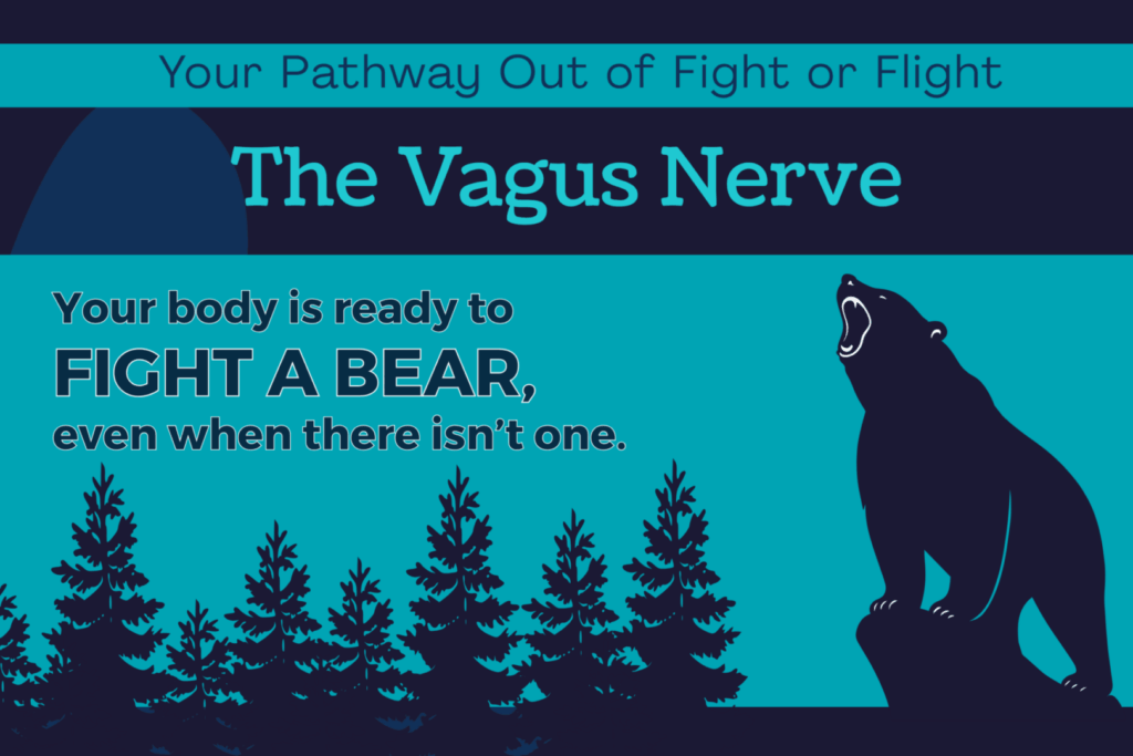 A bear in a forest, ready to attack, signifying your body stuck in fight or flight.