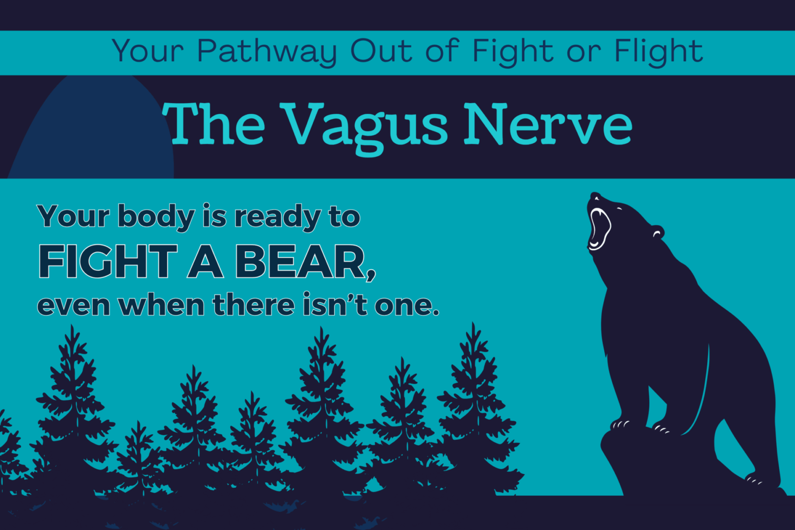 A bear in a forest, ready to attack, signifying your body stuck in fight or flight.