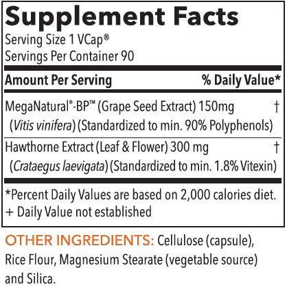 Blood Pressure Support 90 Capsules