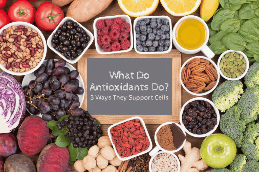 Antioxidant foods surrounging small chalkboard with Antioxidant for what do antioxidants do.