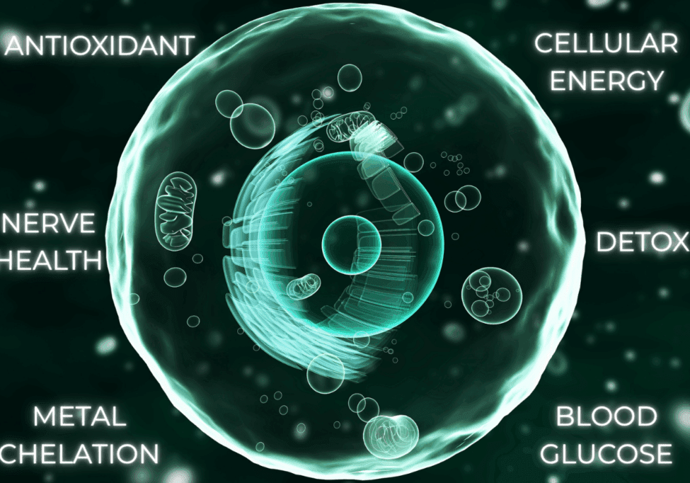 Human cell with ALA benefits